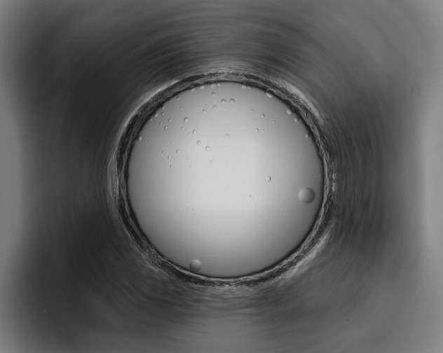 X0000094421117200711080953