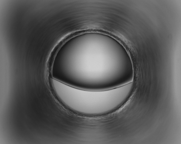X0000094421118200711080953