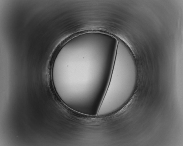 X0000094421119200711080953