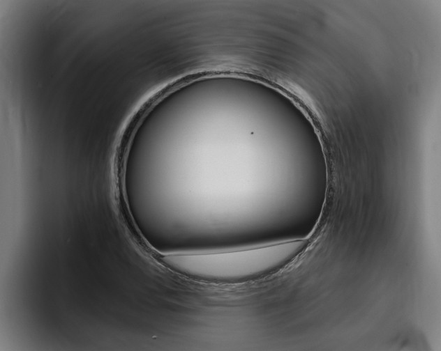X0000094421120200711080953