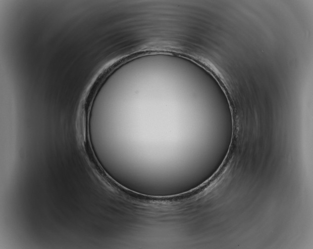 X0000094421123200711080953