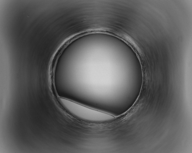 X0000094421124200711080953