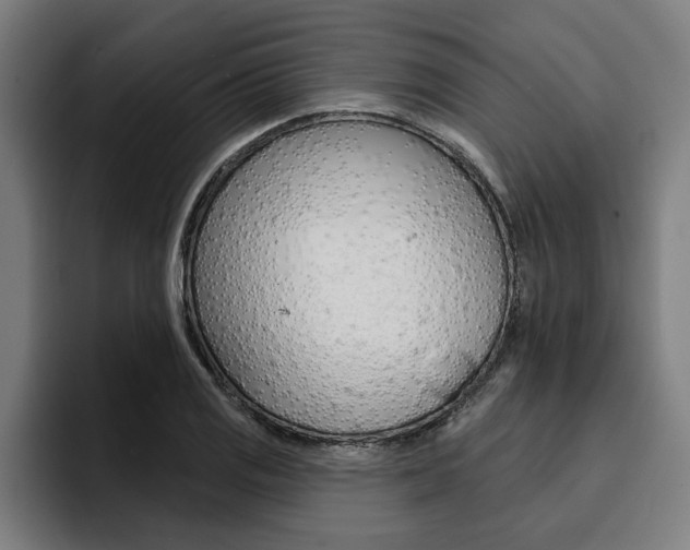 X0000094421125200711080953