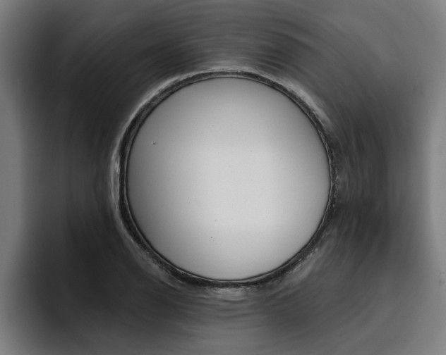 X0000094421126200711080953