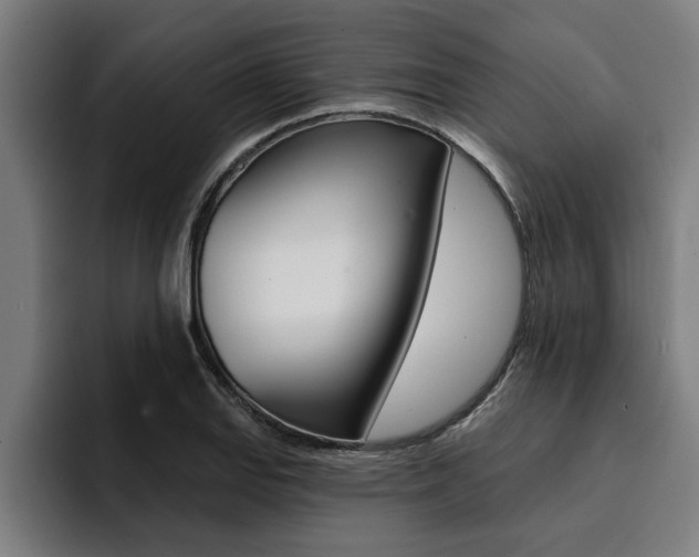 X0000094421127200711080953