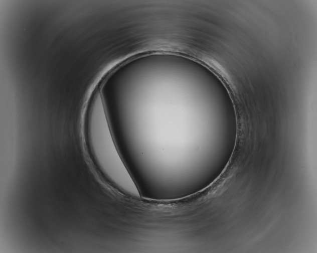 X0000094421128200711080953