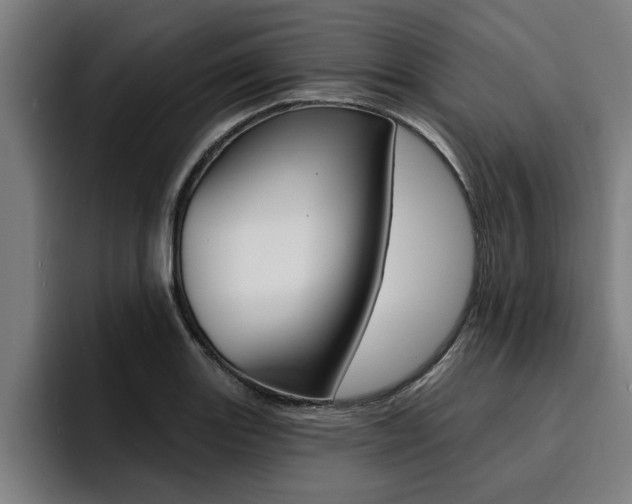 X0000094421131200711080953