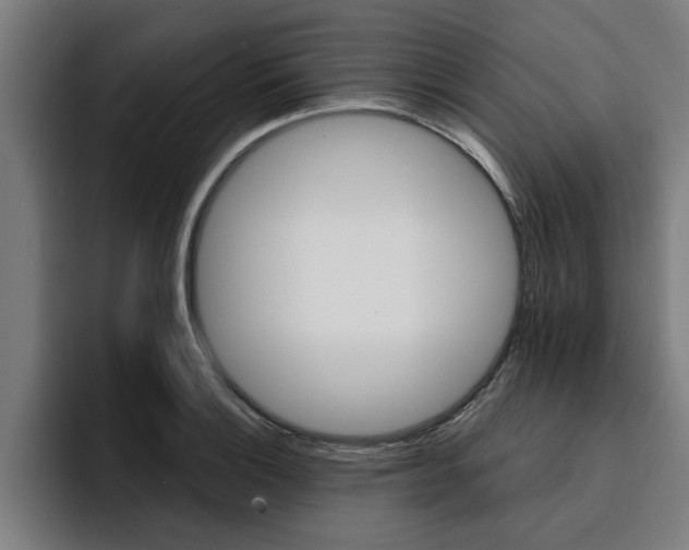 X0000094421132200711080953