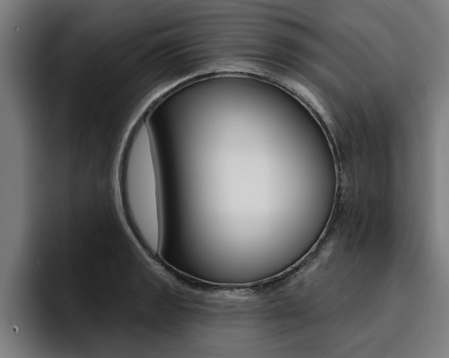 X0000094421133200711080953