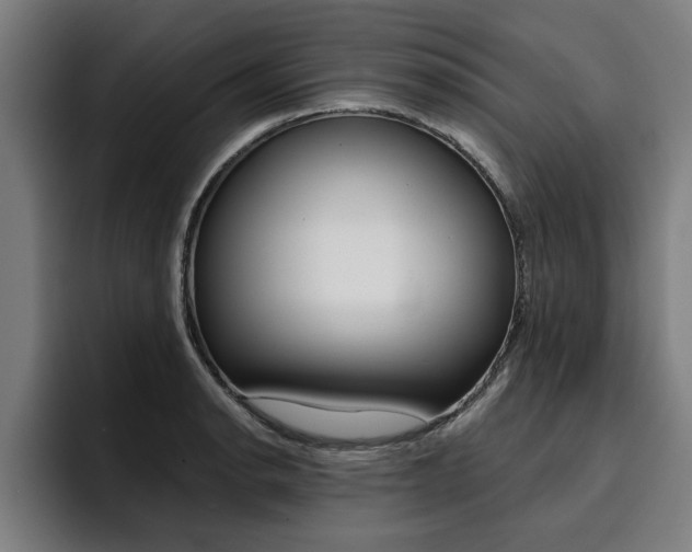 X0000094421134200711080953