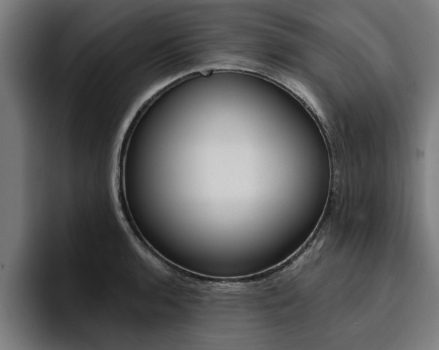 X0000094421136200711080953