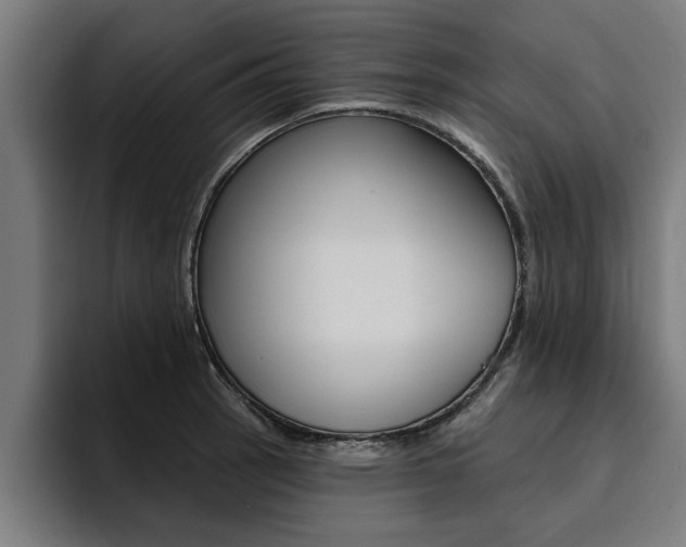 X0000094421137200711080953