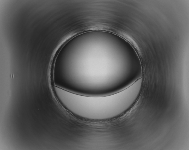 X0000094421138200711080953