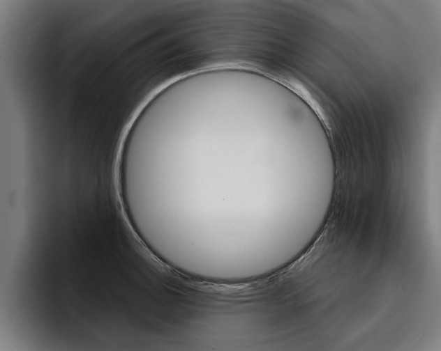 X0000094421140200711080953