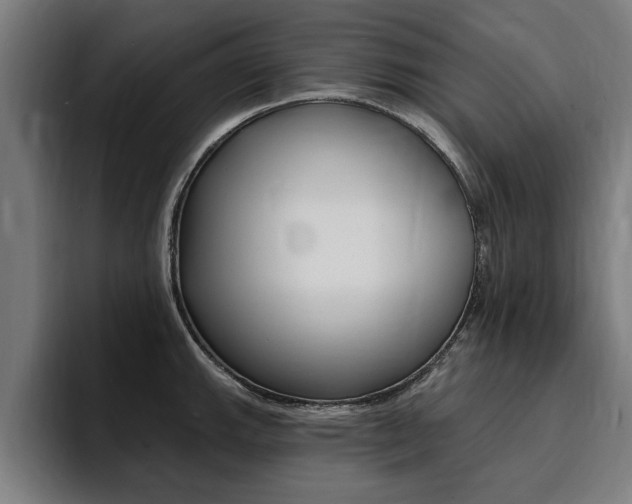X0000094421143200711080953