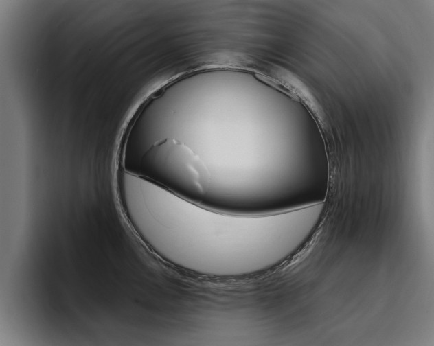 X0000094421146200711080953
