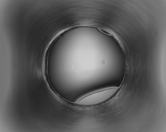 X0000094421147200711080953