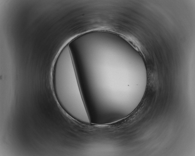 X0000094421151200711080954
