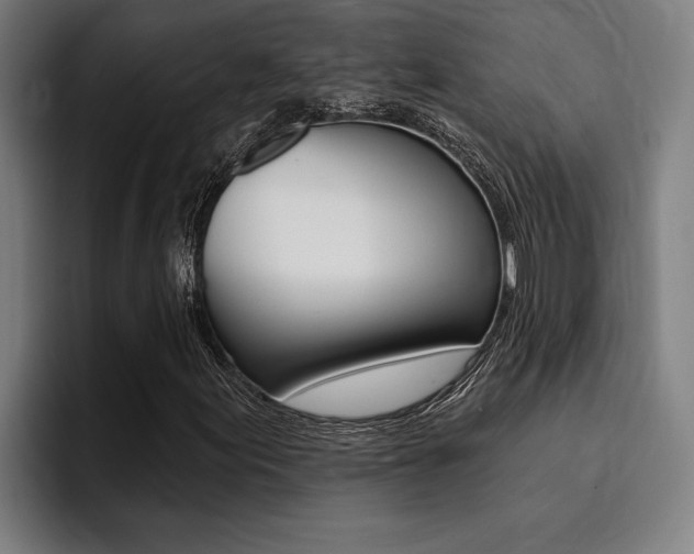 X0000094421155200711080953