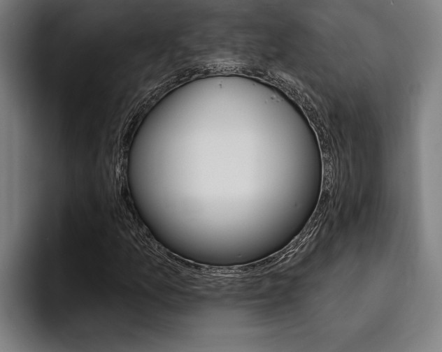X0000094421157200711080953