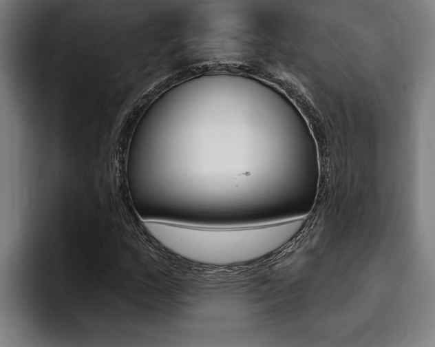 X0000094421159200711080953