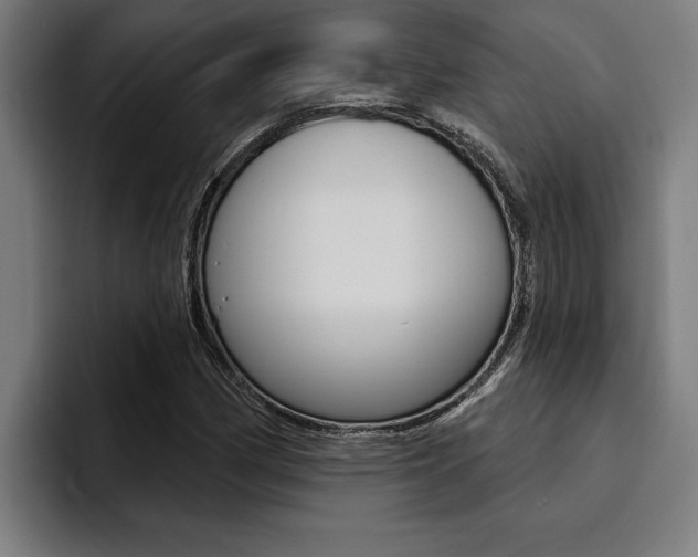 X0000094421162200711080953