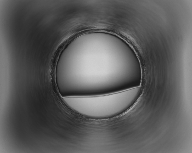 X0000094421163200711080953