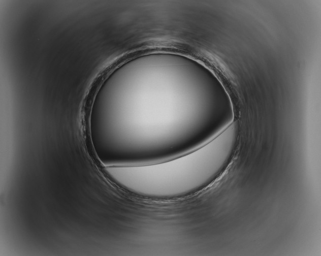 X0000094421164200711080953