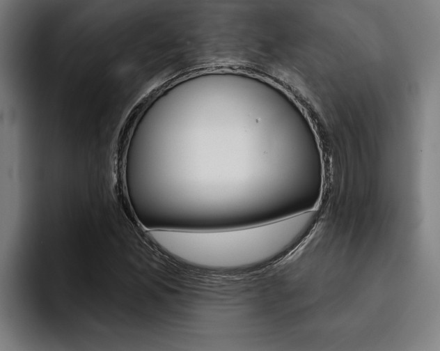 X0000094421165200711080953