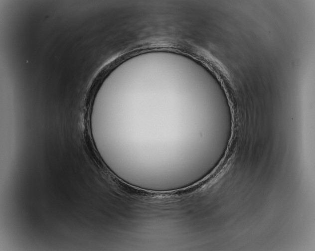 X0000094421166200711080953