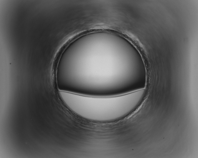 X0000094421167200711080953