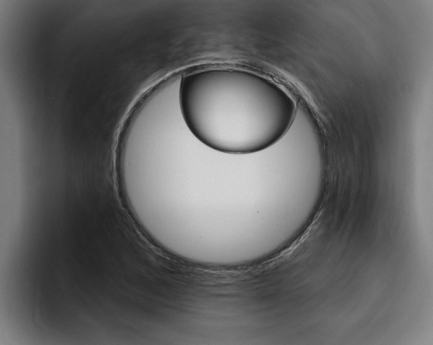 X0000094421168200711080953