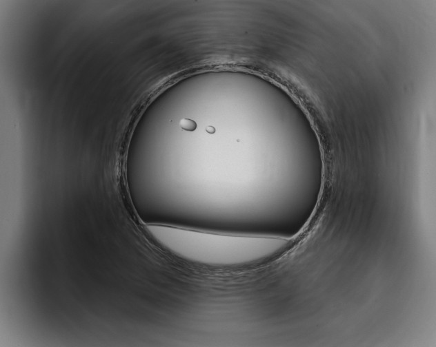 X0000094421169200711080953