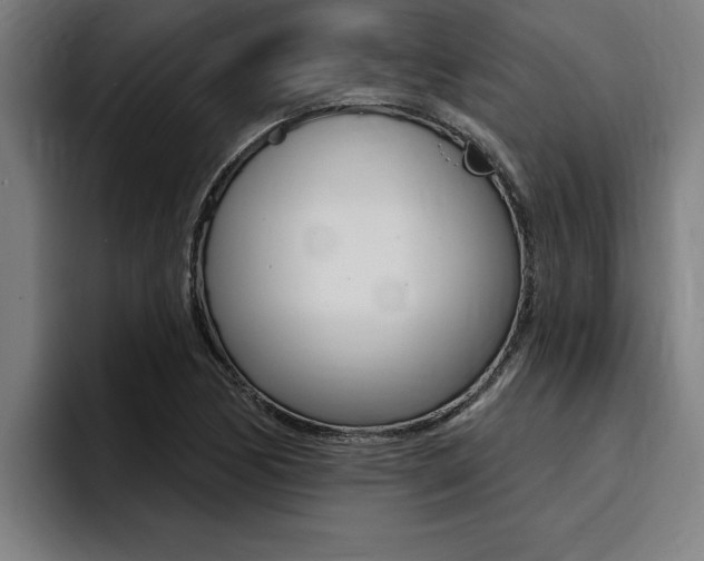 X0000094421170200711080953