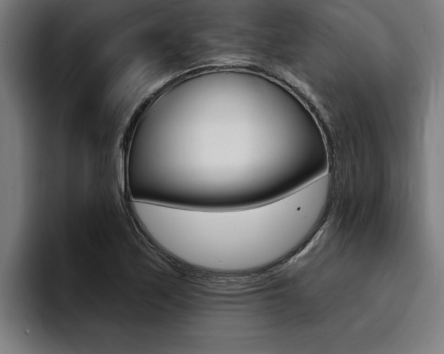 X0000094421171200711080953