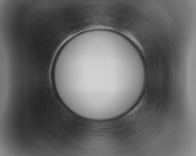 X0000094421173200711080953