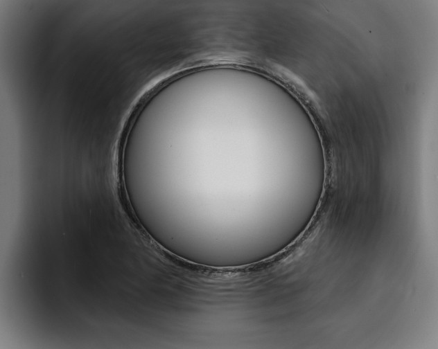 X0000094421174200711080953