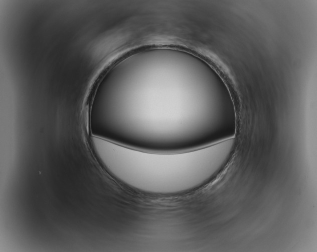 X0000094421175200711080953