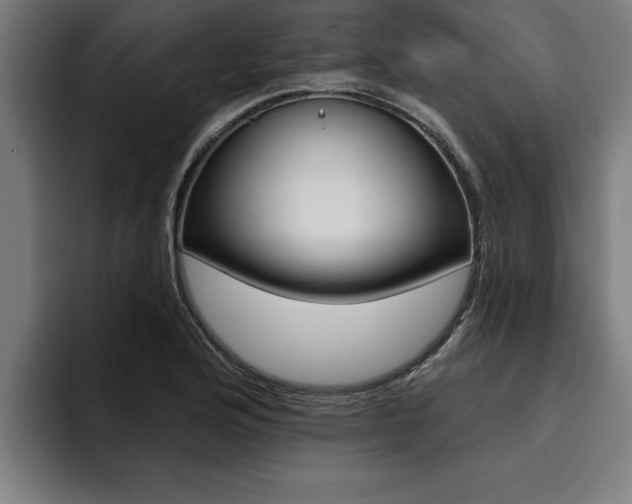 X0000094421176200711080953