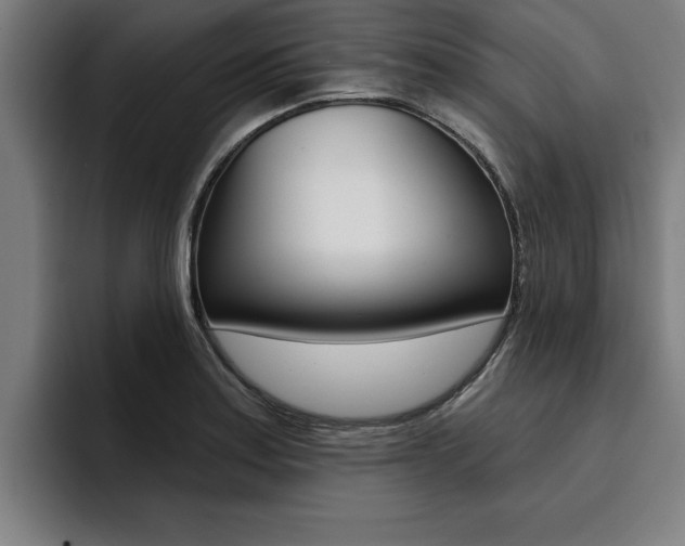 X0000094421179200711080953