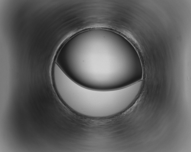 X0000094421181200711080953