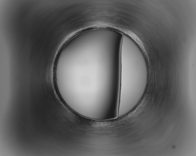 X0000094421183200711080953