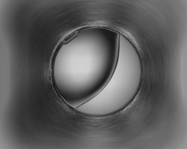 X0000094421184200711080952