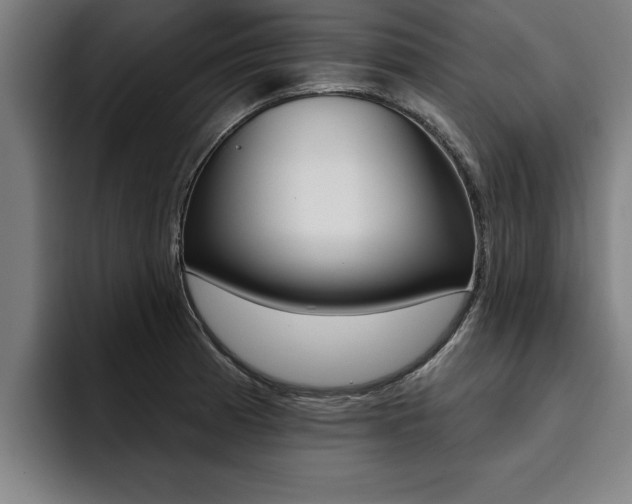 X0000094421185200711080952