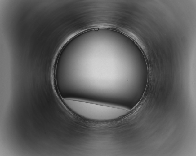 X0000094421187200711080952