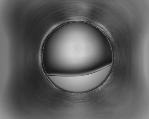 X0000094421188200711080952