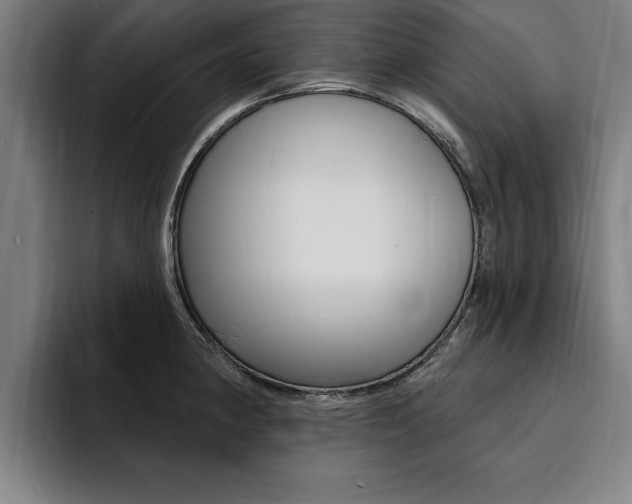 X0000094421190200711080952