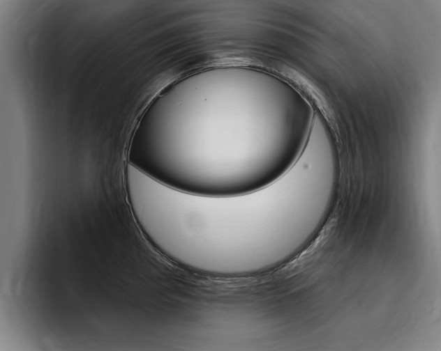 X0000094421193200711080952