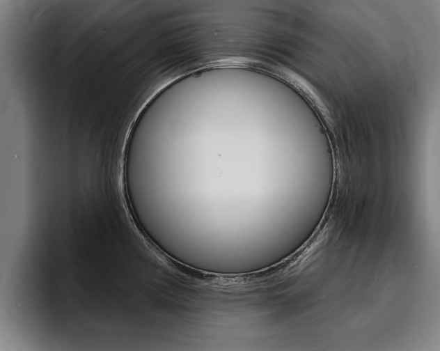 X0000094421194200711080952