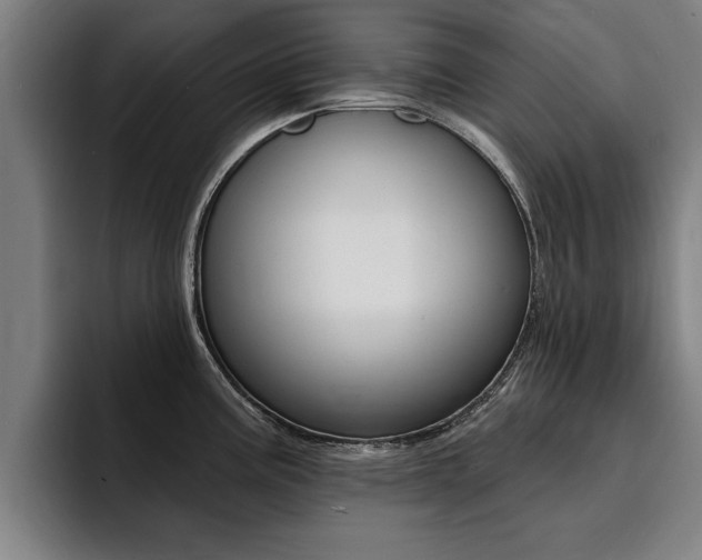 X0000094421195200711080952